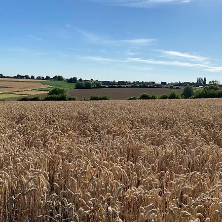 Сasa de vacaciones Het Oude Stadhuis, Maison Flamande Avec Jardin Situee Entre Lille And Dunkerque