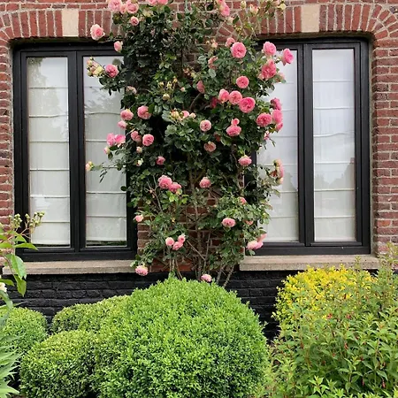 Het Oude Stadhuis, Maison Flamande Avec Jardin Situee Entre Lille And Dunkerque Сasa de vacaciones Eecke
